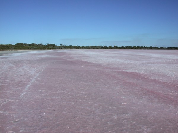 Pink Lake